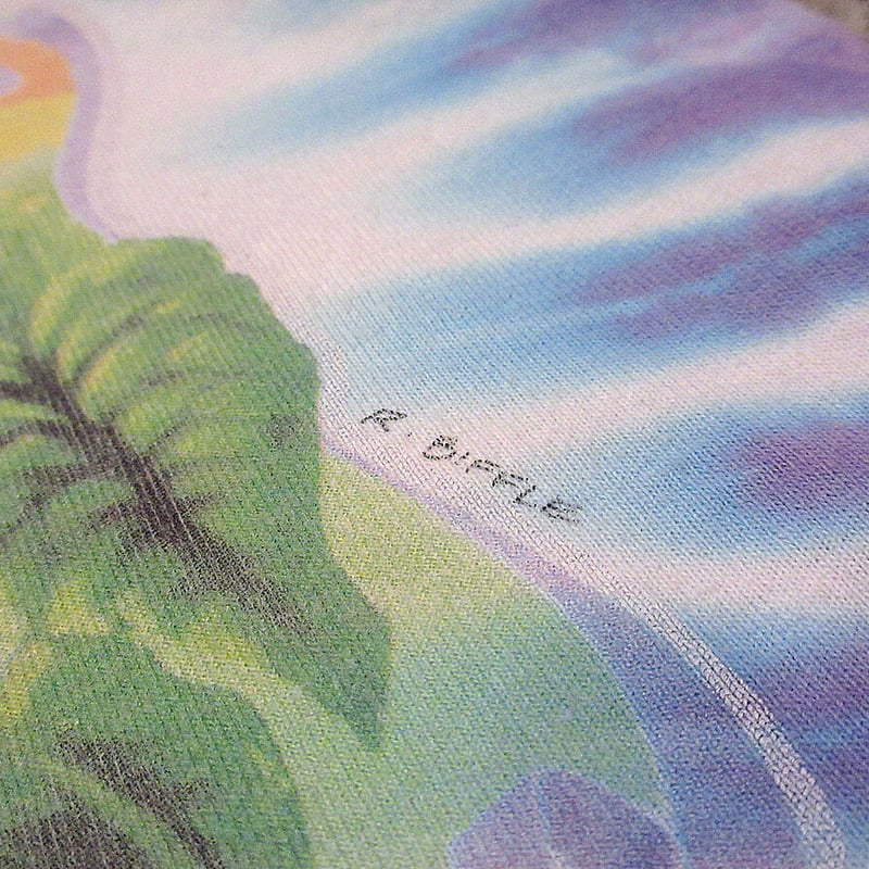 ビンテージ90's○GRATEFUL DEAD 1995年ツアータイダイTシャツ