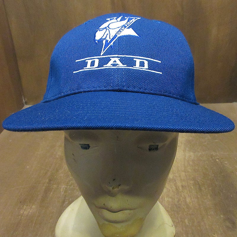 ビンテージ90's○DEADSTOCK ECSU Vikings DAD 6パネルスナップ