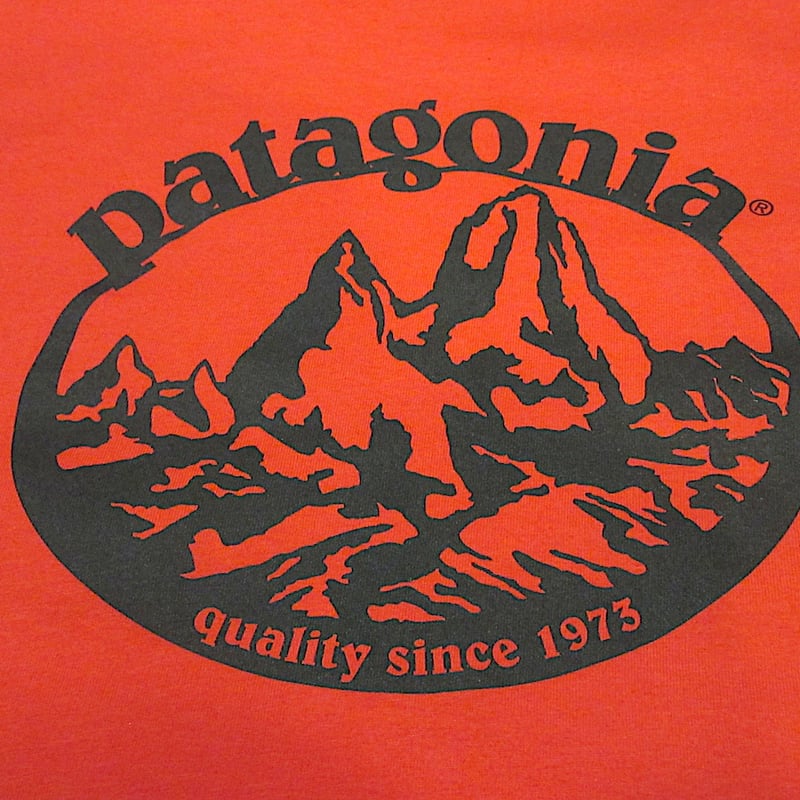 patagonia ヴィンテージ ワンサイズ 赤 made in France ビンテージ90's○Patagoniaロゴプリント長袖Tシャツ赤size S