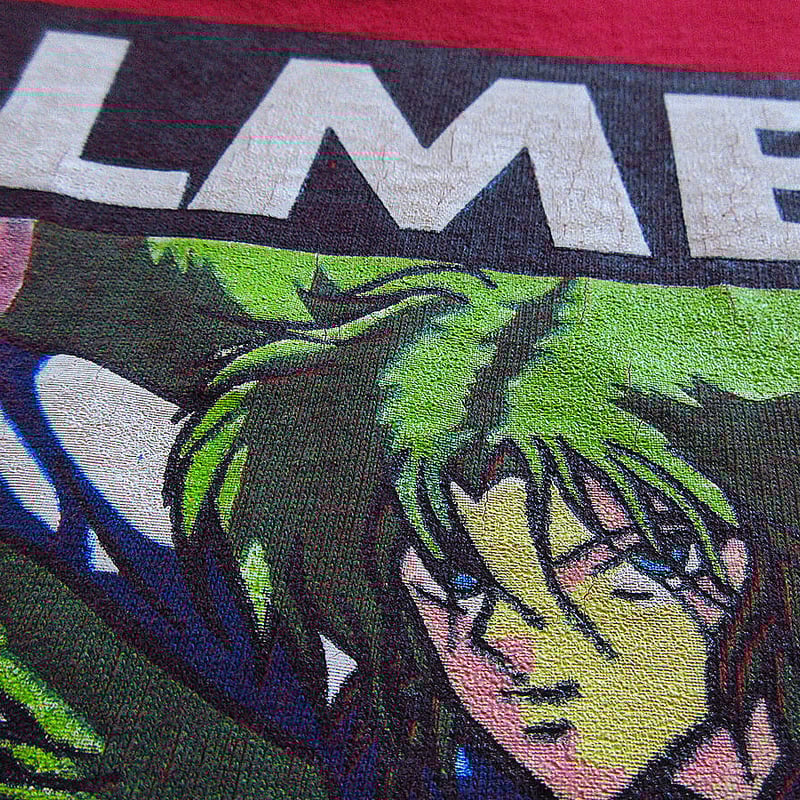 HELMET tシャツ BIRDHOUSE PROJECTs 90s 90s HELMET 