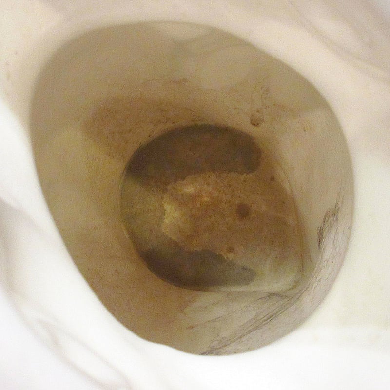 ビンテージ40's50's○Artistic Potteries鳥セラミックピッチャー○240