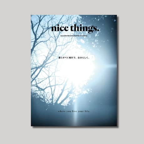 雑誌 nice things.