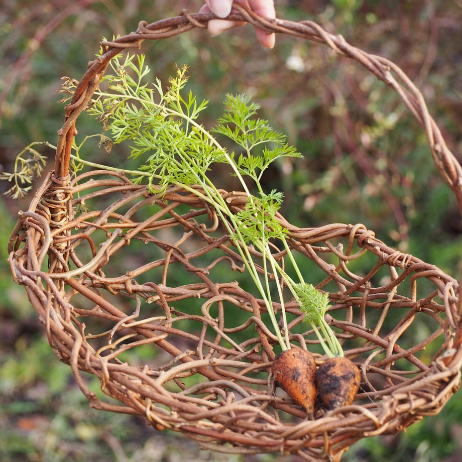 63800f4cd7e1d80f88f317c4
