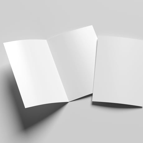 PAPER BUNDLE （ダンデレードCoC 100g/㎡） 100 枚