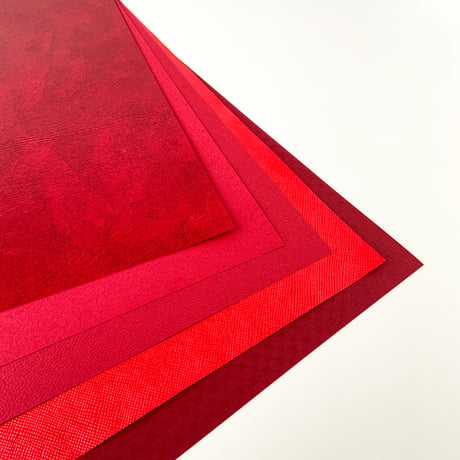 Book Wrapper M  レッド