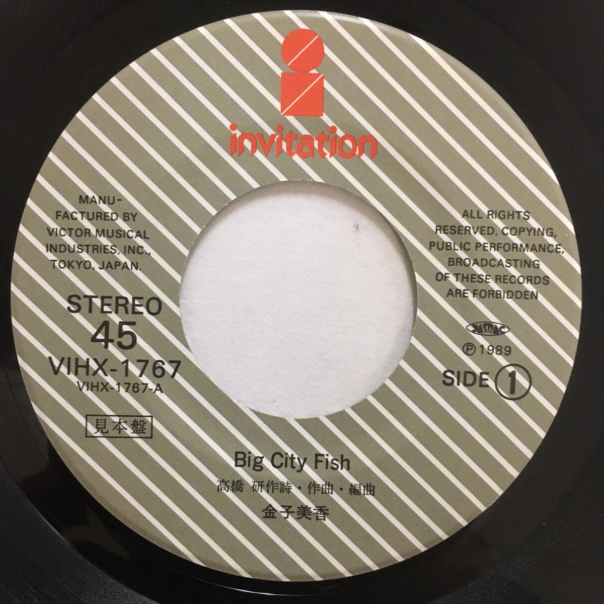 金子美香 / Big City Fish | ACTION TIME VISION