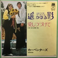 カーペンターズ / 遥かなる影