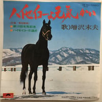 増沢末夫 / ハイセイコーよ元気かい