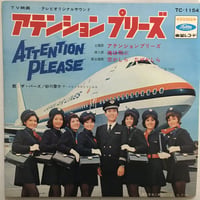 ザ・バーズ / アテンションプリーズ