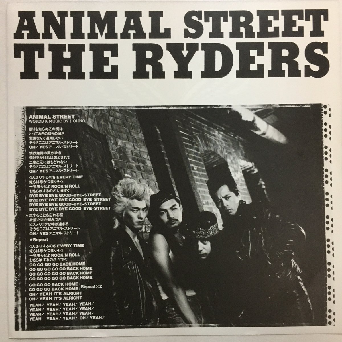 RYDERS / Animal Street | ACTION TIME VISION