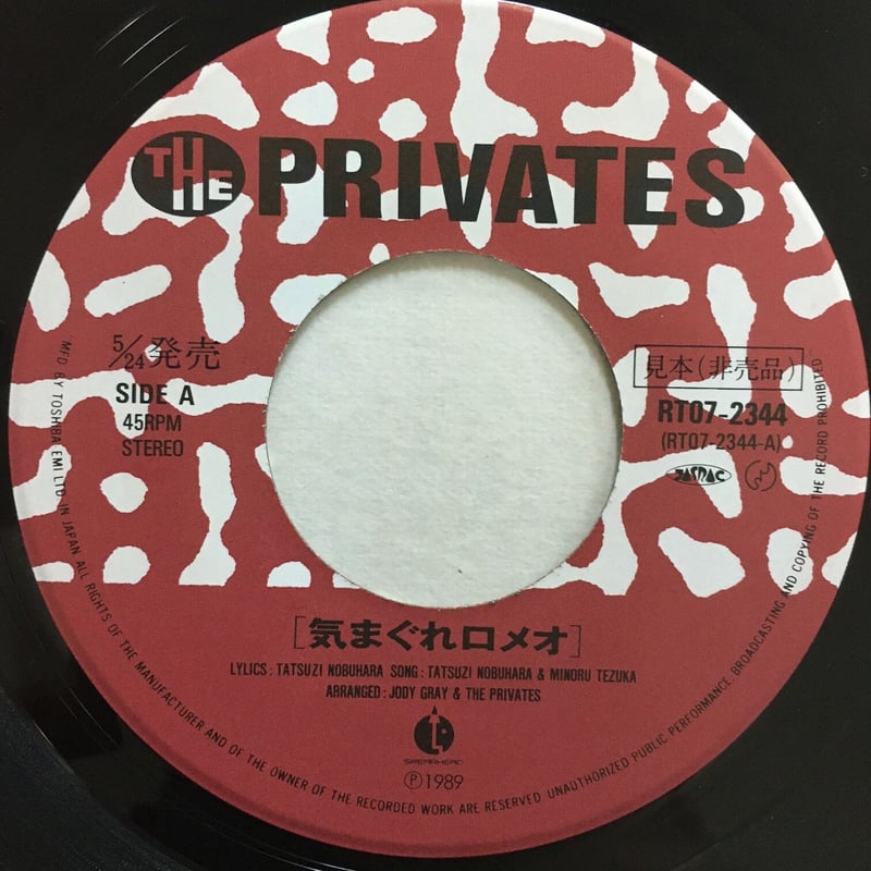 THE PRIVATES / 気まぐれロメオ | ACTION TIME VISION