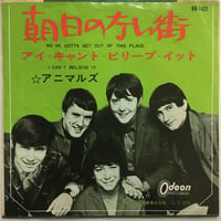 アニマルズ / 朝日のない街