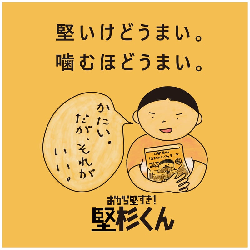 特価】(送料込）堅旨!!生おからクッキー 2個セット￥1200⇒¥900