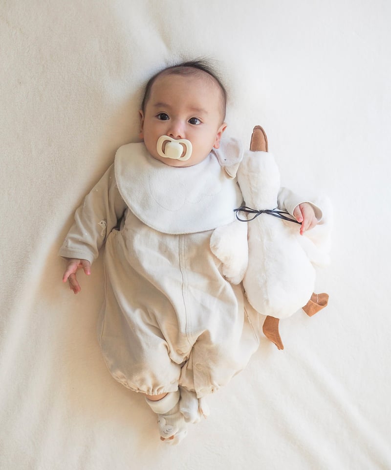 mocmof あひるスタイ 622-650022 | TAKARAYA ONLINE STORE