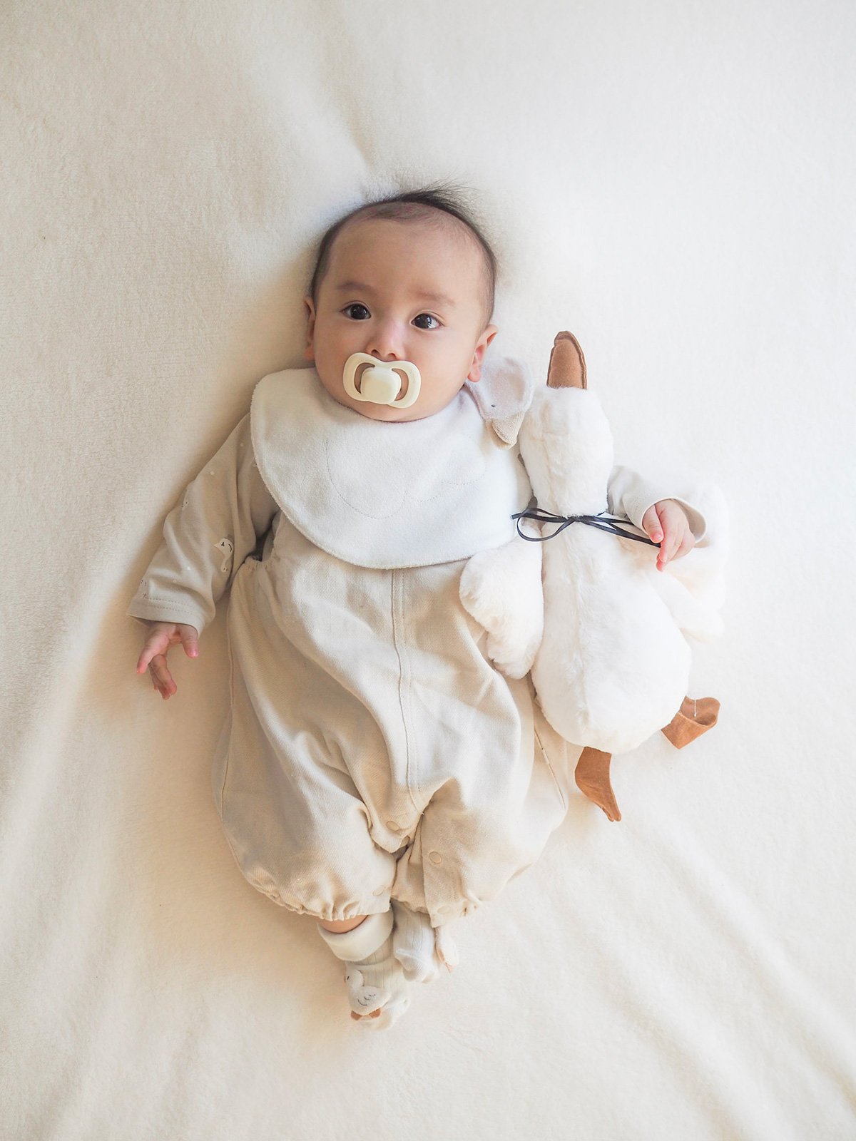 mocmof あひるスタイ 622-650022 | TAKARAYA ONLINE STORE