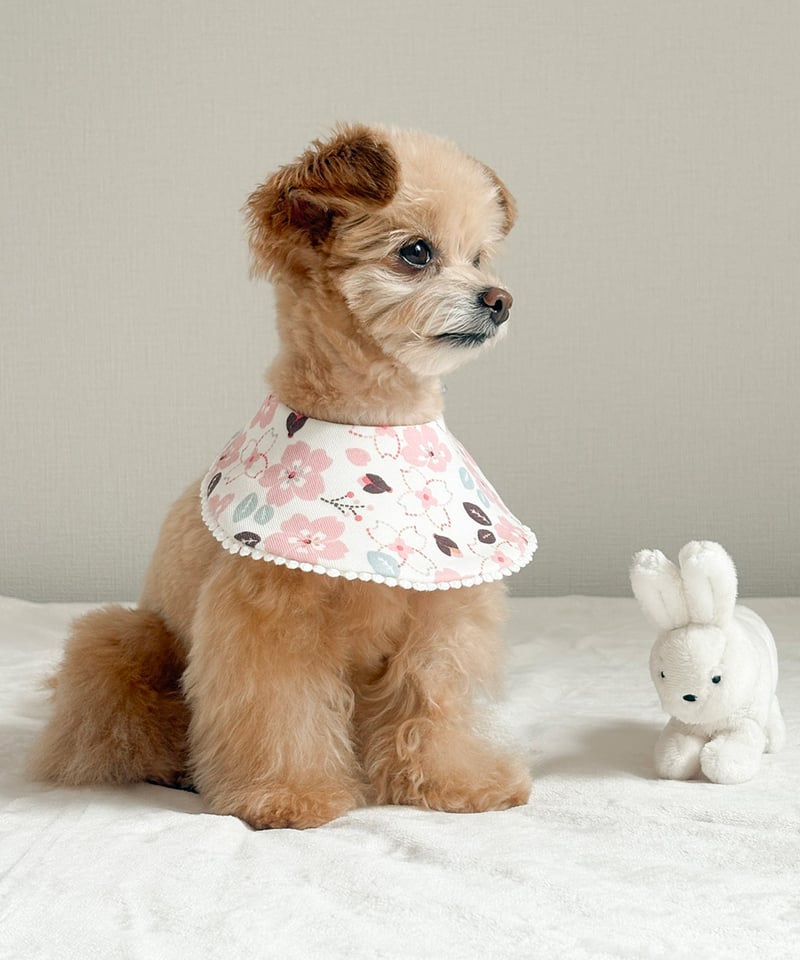 mocmof 和柄スタイ（ペットOK) 622-650008 | TAKARAYA ONLIN