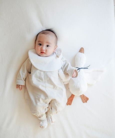 TAKARAYA ONLINE STORE