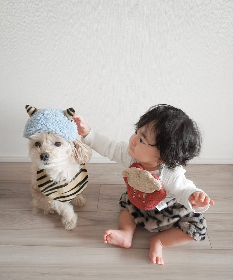 mocmof 節分ヘアバンド+スタイセット（ペットOK) 622-650011【箱入り