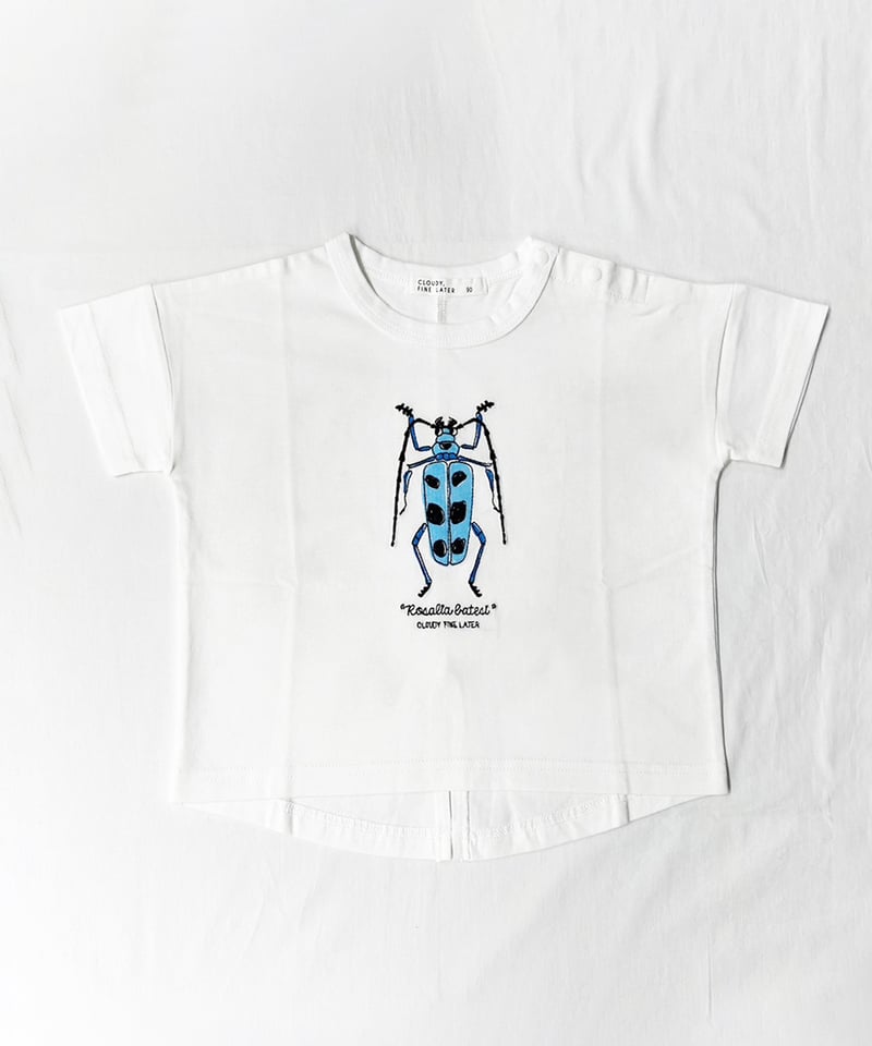 CLOUDY,FINE LATER 夏の生き物 Tシャツ 522-662001 | TAKAR