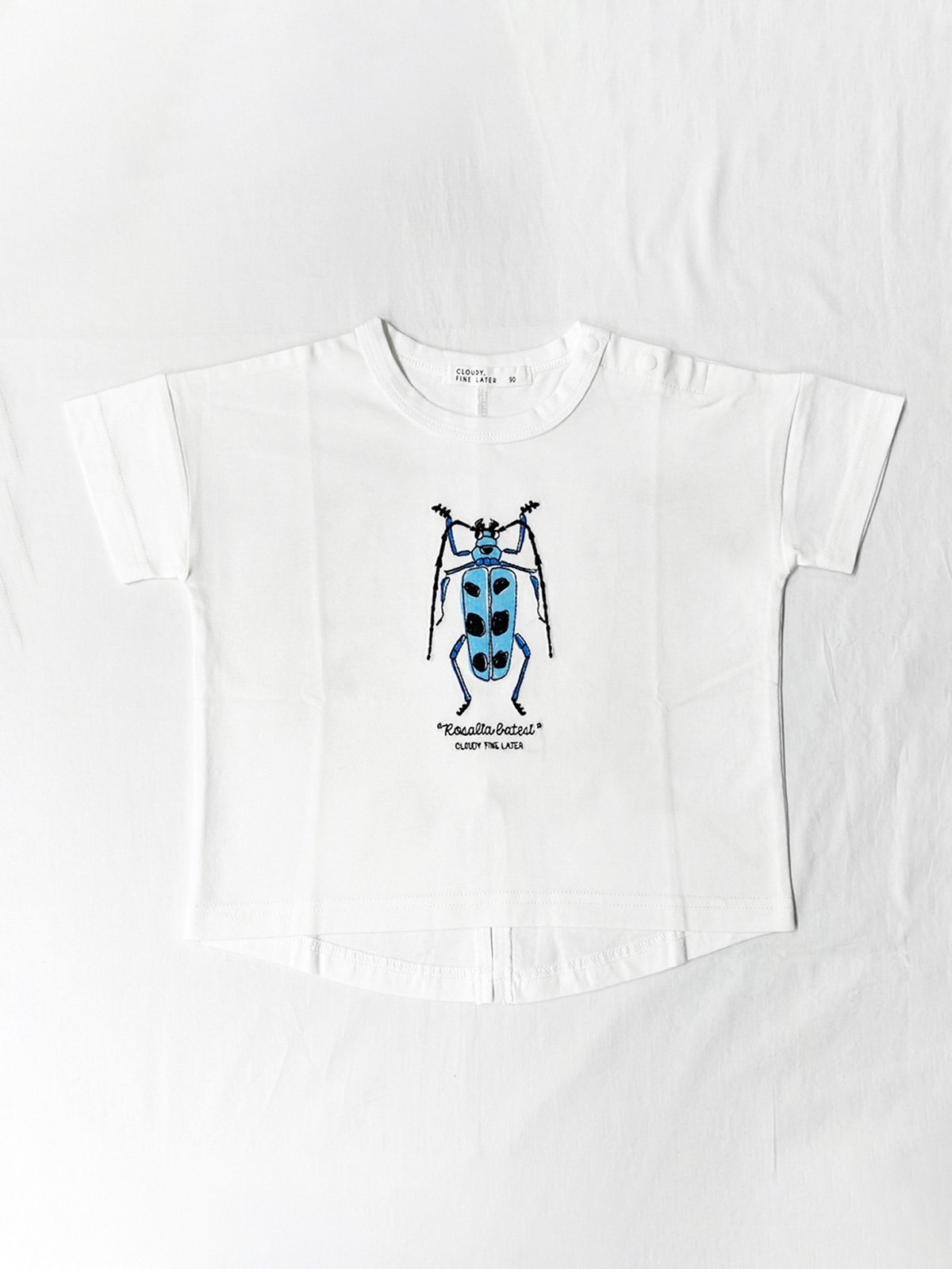 CLOUDY,FINE LATER 夏の生き物 Tシャツ 522-662001 | TAKAR