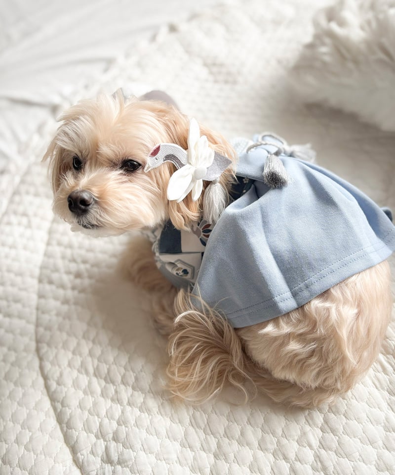 ☆*:.。. ヘアクリップ ♡ ミモザ .。.:*☆ ミモザアクセサリー｜ヘアクリップ｜6cm｜ホワイトカラーset ヘア