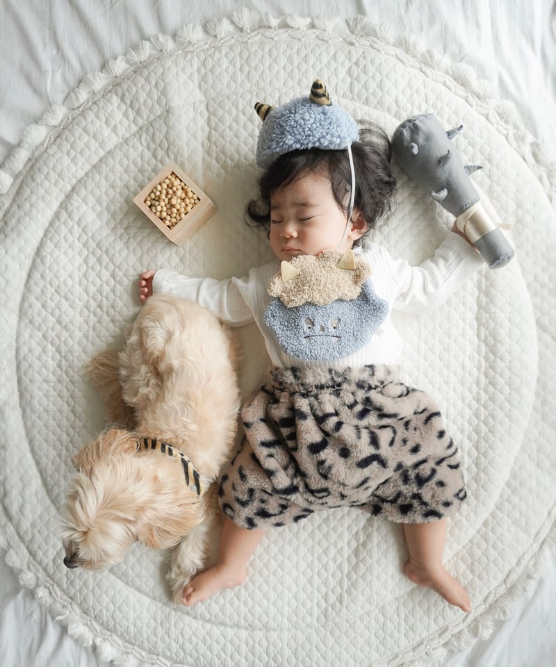 mocmof 節分ヘアバンド+スタイセット（ペットOK) 622-650011【箱入り