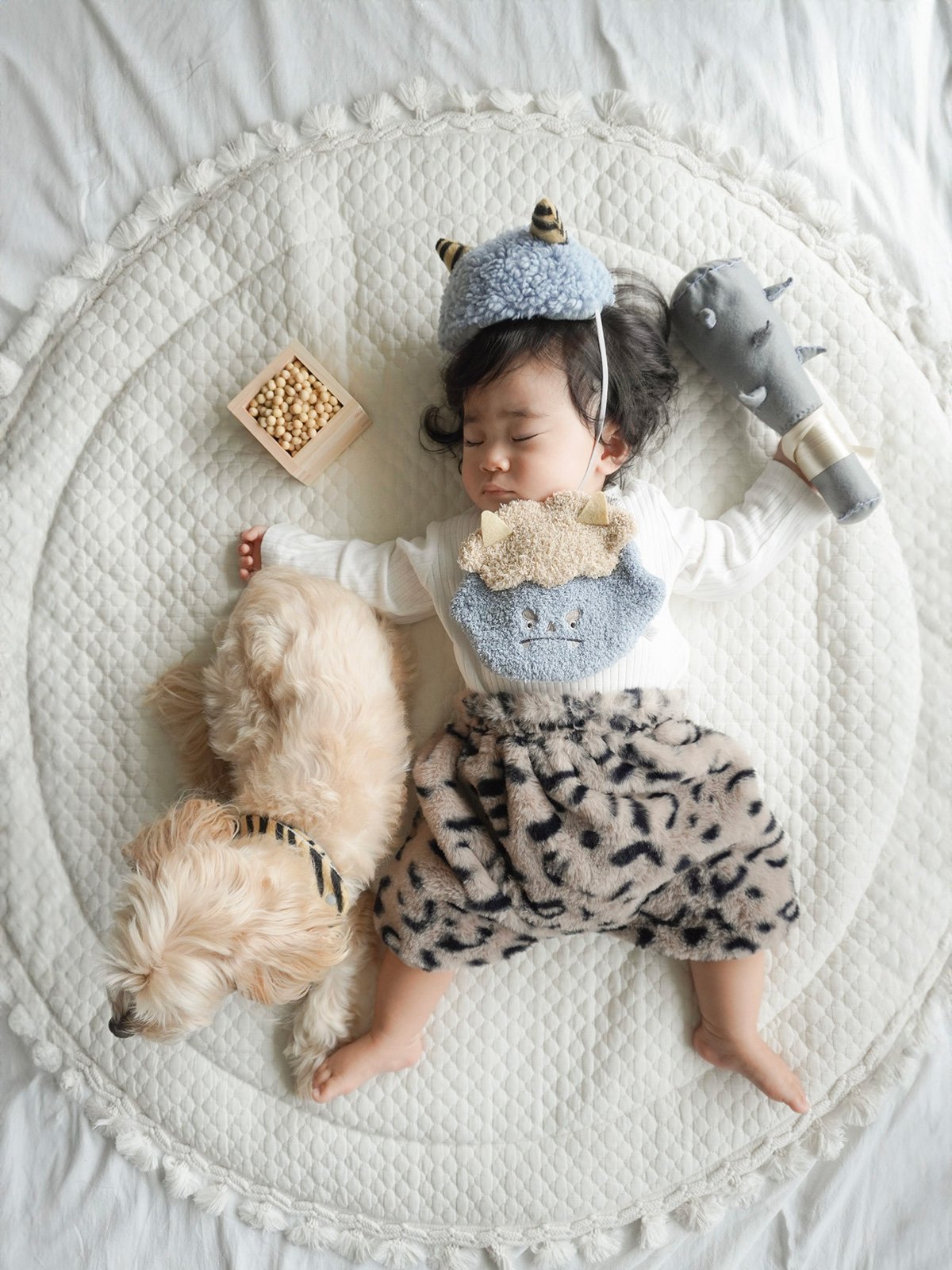 mocmof 節分ヘアバンド+スタイセット（ペットOK) 622-650011【箱入り