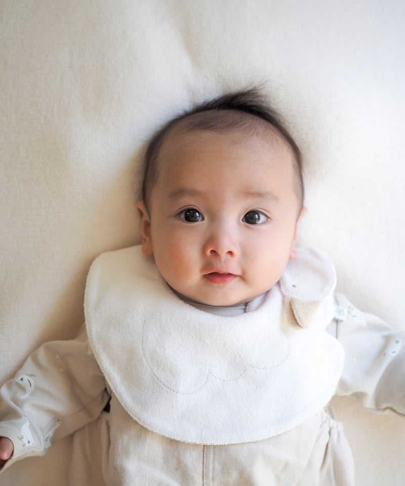 mocmof あひるスタイ 622-650022 | TAKARAYA ONLINE STORE