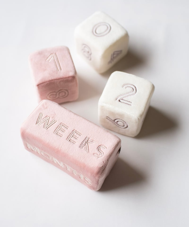 mocmof マンスリーブロック 622-476164 【箱入り】 | TAKARAYA ON