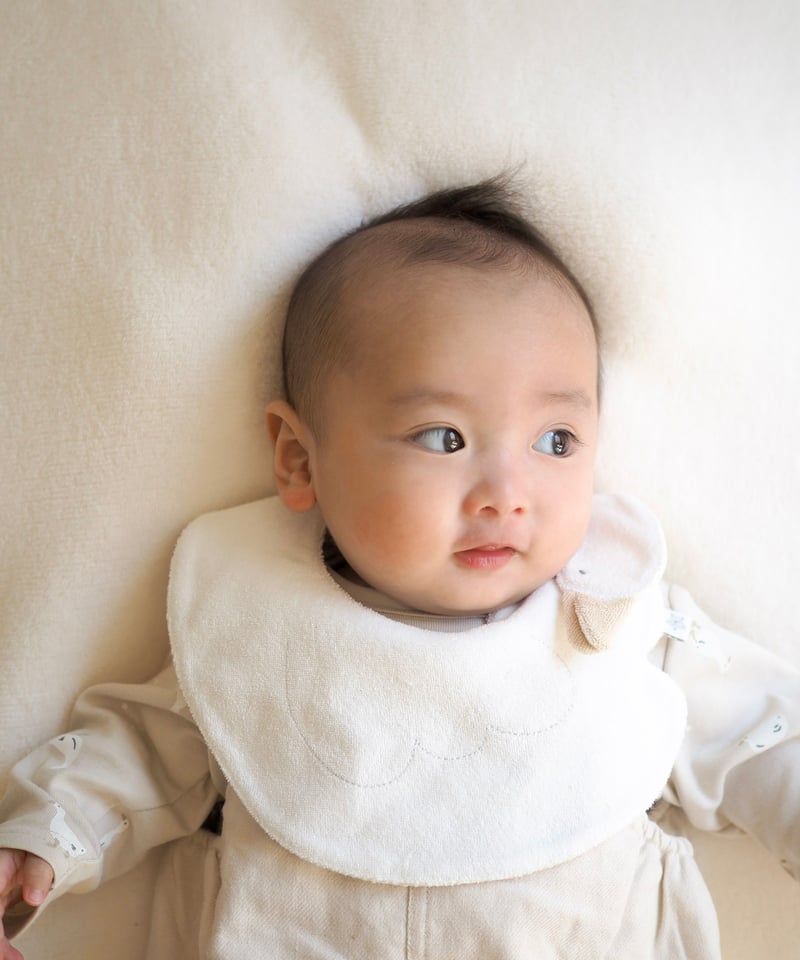 mocmof あひるスタイ 622-650022 | TAKARAYA ONLINE STORE