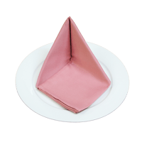 カラーお任せ！レンタルナフキン（50×50cm）