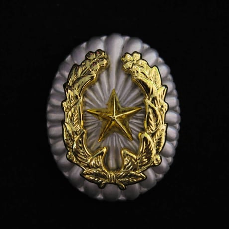 CATEGORY 勲章・徽章類 | MilitaryX's STORE
