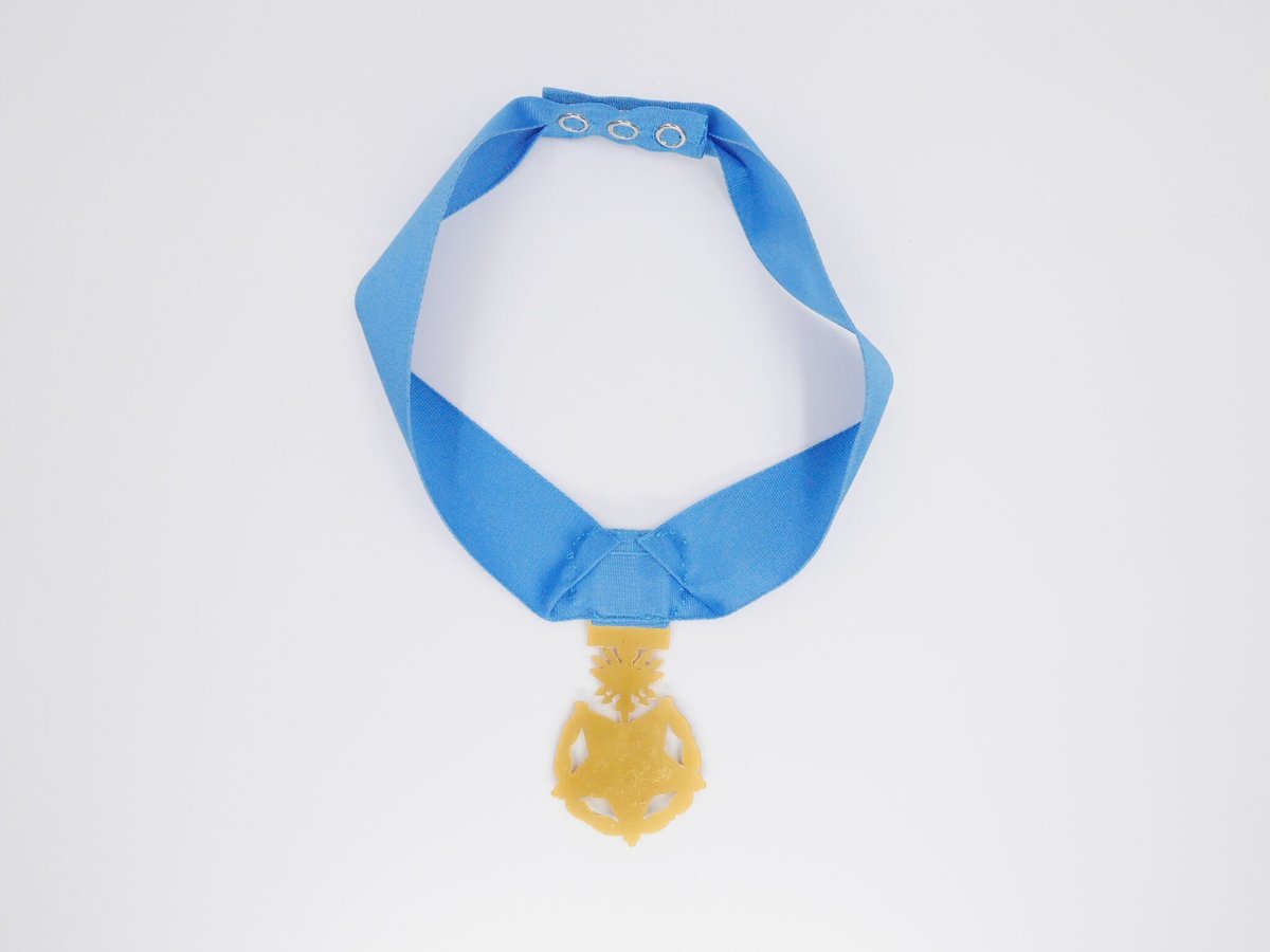 アメリカ 空軍名誉勲章 箱付 米軍 | MilitaryX's STORE