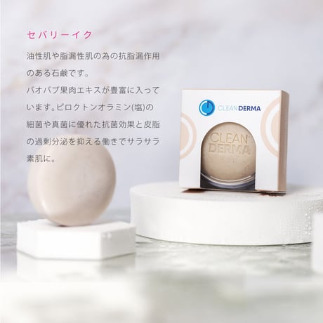 クリーンダーマ | 石鹸 | 100g 《 エスポル 》