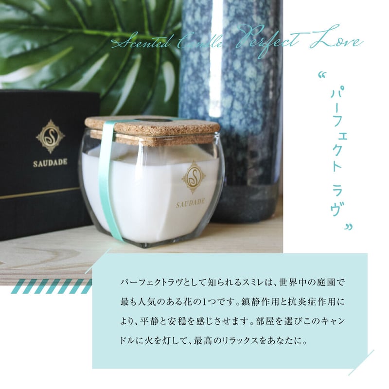 AQUIESSE SOUVENIR コンパスソイキャンドル コスタリカ ソイキャンドル 200g / アロマ SAUDADE エッセンシスデ