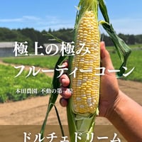 ご予約第一弾！ドルチェドリーム　日本一のとうもろこし！ほ