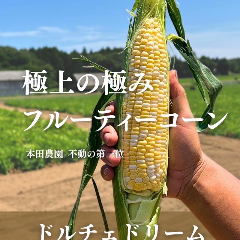 ご予約第三弾！ドルチェドリーム 日本一のとうもろこし！ | mitorelu