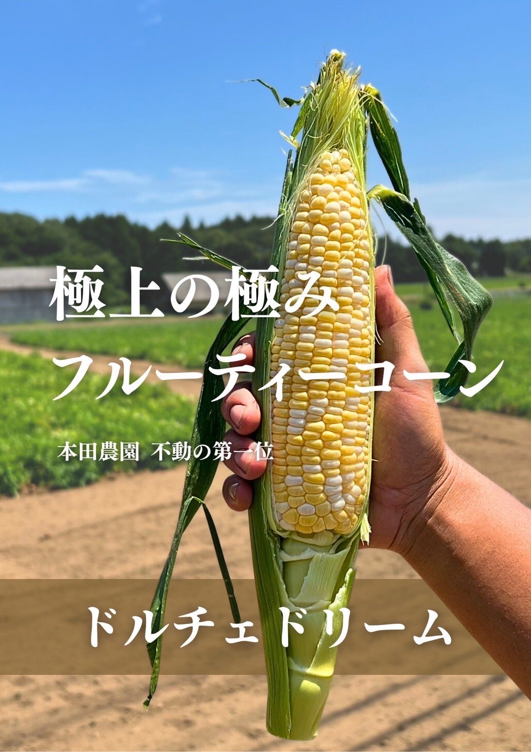 ご予約第三弾！ドルチェドリーム 日本一のとうもろこし！ | mitorelu
