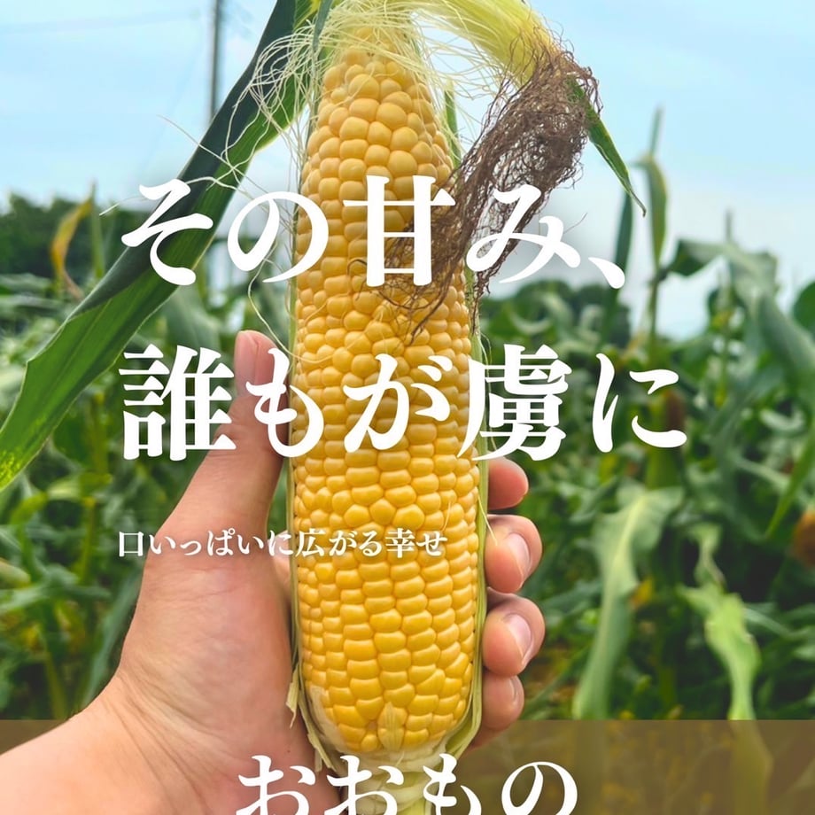 681c636720d2990d8360d570