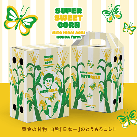ご予約第一弾！ピュアホワイト　日本一のとうもろこし！