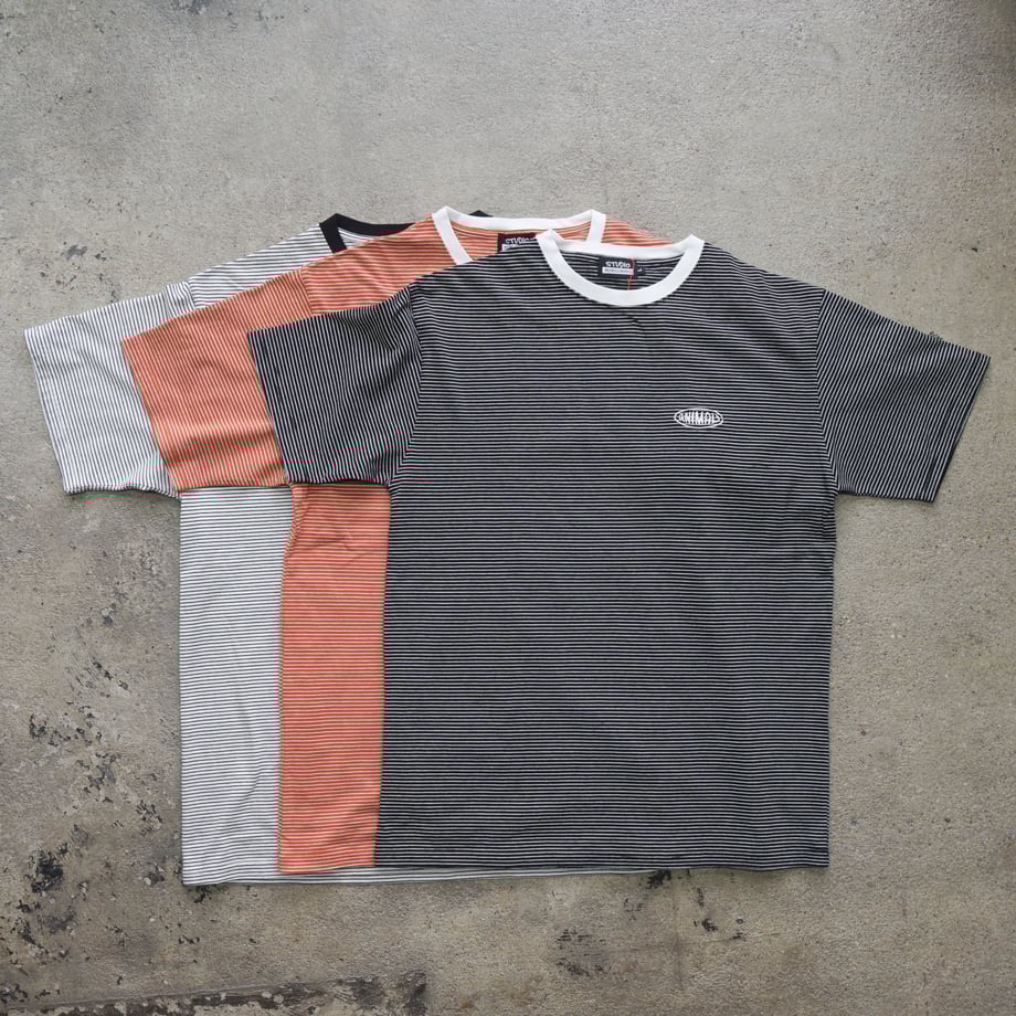 67e7b2e3fad3bf1ded1747ef