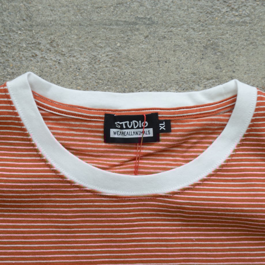 67e7b2e3fad3bf1ded1747ef