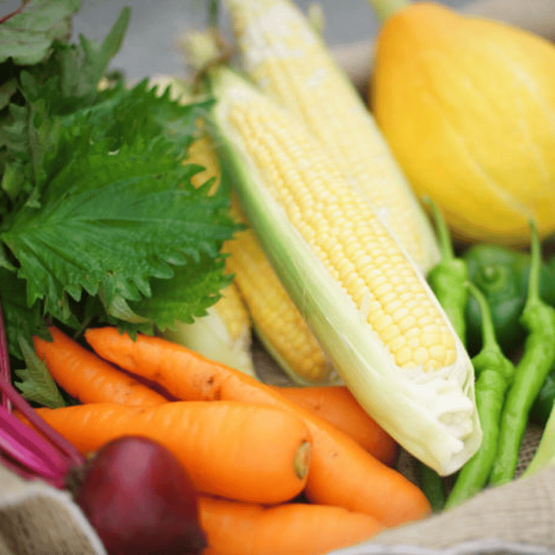 農家直送 里山育ちの無農薬野菜セット【Lサイズ】 | 原木椎茸と