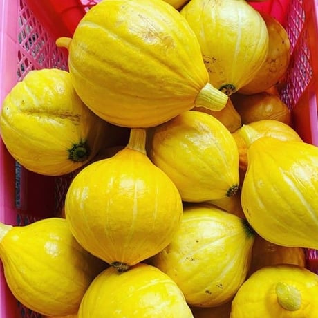 【有機JAS認証】農家直送 里山育ちの無農薬野菜セット【Sサイズ】