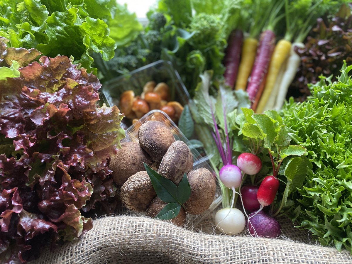 農家直送 里山育ちの無農薬野菜セット【Mサイズ】 | Satoyama Organic