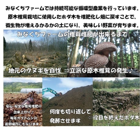 【有機JAS認証】農家直送！里山育ちの無農薬里芋3kgセット オーガニック