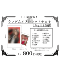 【レジスタンスイレブン～集いはハロウィンで～】ランダムオフショットチェキ（ガールズ版）