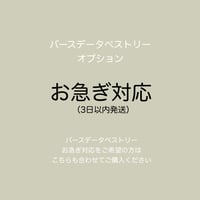 《オプション》お急ぎ対応（速達発送）