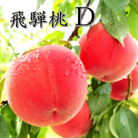 【自家用】　飛騨桃　D　16～22玉入り （5K箱）