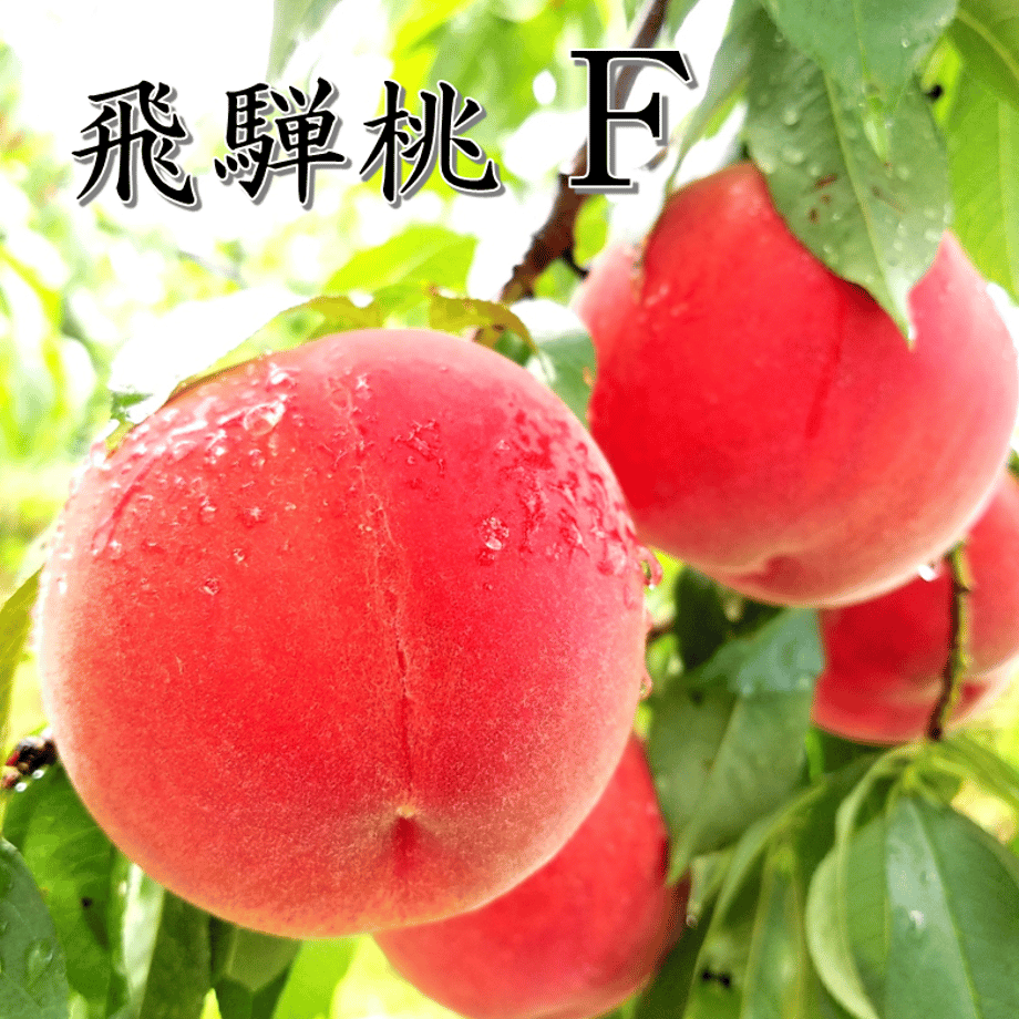 60ffd7d205362425c31265bd